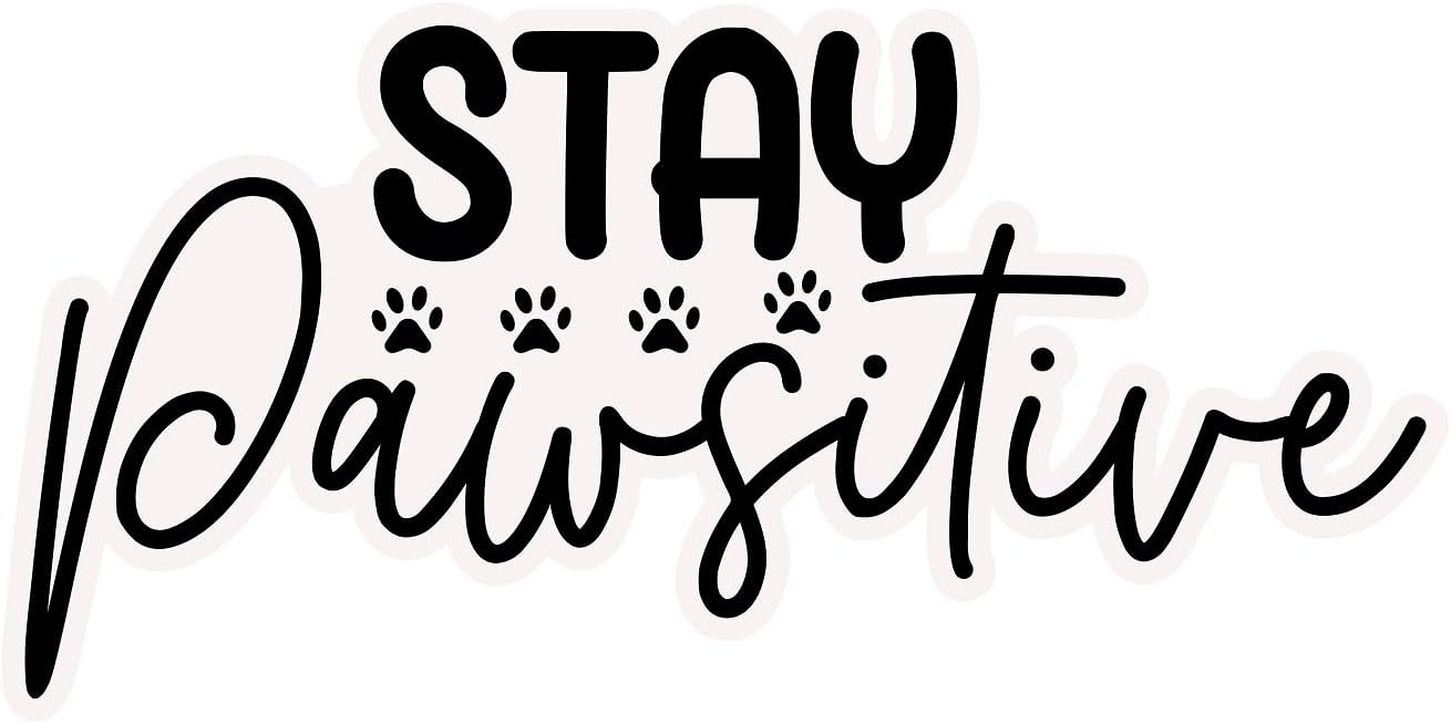 Inspirational Quote "Stay Positive" Motivational Sticker Vinyl Decal Motivation Stickers- 5" Vinyl Sticker Waterproof