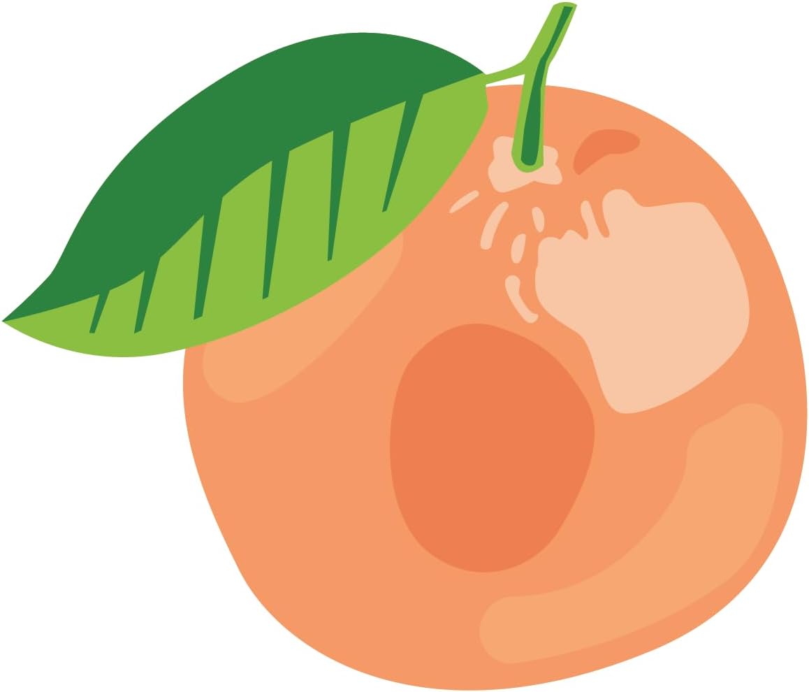 Inspirational Quote Grapefruit Icon Motivational Sticker Vinyl Decal Motivation Stickers- 5" Vinyl Sticker Waterproof