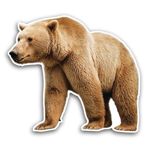 2 (Pieces) 3" and 5" Bear Sticker, Waterproof Vinyl Decals for Many Purpose Like Cars, Trucks, Lapto