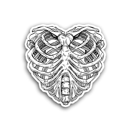 2 (Pieces) 3" and 5" Rib Cage Heart Sticker, Waterproof Vinyl Decals for Many Purpose Like Cars, Tru