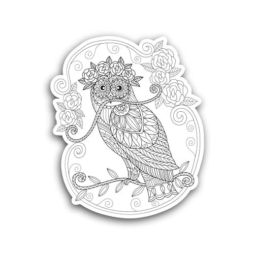 2 (Pieces) 3" and 5" Cute Owl Design Decal Sticker, Waterproof Vinyl Decals for Many Purpose Like Ca