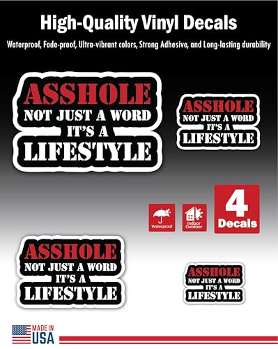 Inspirational Quote Nicest Mean Person Ever Motivational Sticker Vinyl Decal Motivation Stickers- 5"