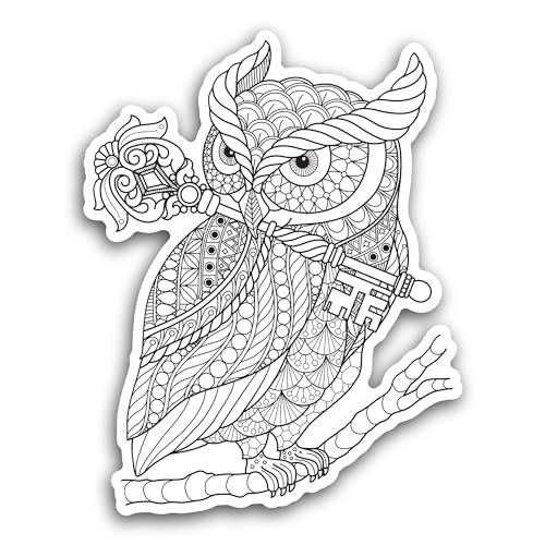 2 (Pieces) 3" and 5" Cute Owl Vinyl Decals Sticker, Waterproof Vinyl Decals for Many Purpose Like Ca