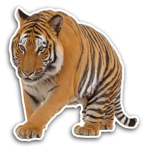 2 (Pieces) 3" and 5" Tiger Closeup Sticker, Waterproof Vinyl Decals for Many Purpose Like Cars, Truc