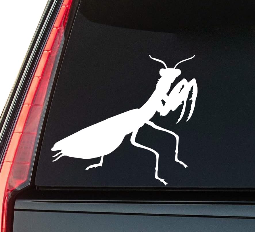 Praying Mantis Window Vinyl Decal Sticker 6" (White), Waterproof Vinyl Decals for Many Purpose Like Cars, Trucks, Laptops, Phones, Windows and More