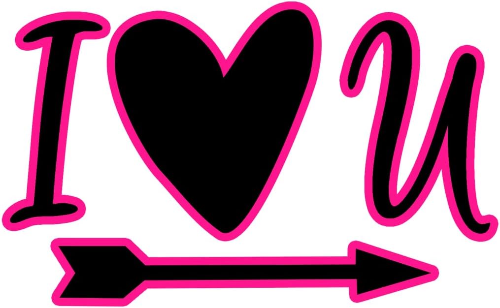 Inspirational Quote I Love You Arrow by Heart Motivational Sticker Vinyl Decal Motivation Stickers- 5" Vinyl Sticker Waterproof