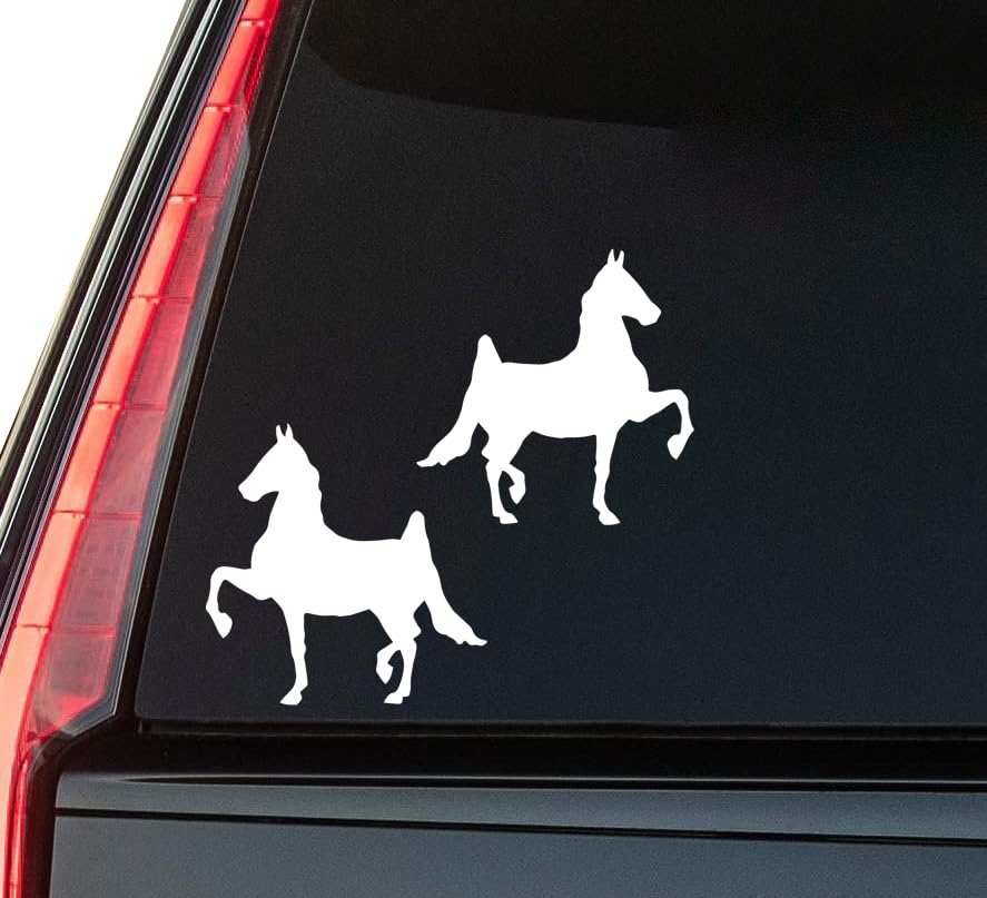 2 (Pieces) 3" and 5" Northern Peace Sticker, Waterproof Vinyl Decals for Many Purpose Like Cars, Tru