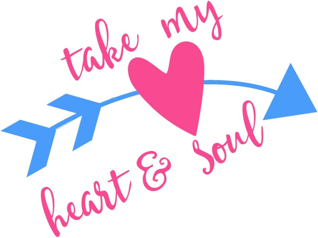 Inspirational Quote Take My Heart & Soul Motivational Sticker Vinyl Decal Motivation Stickers- 5" Vinyl Sticker Waterproof