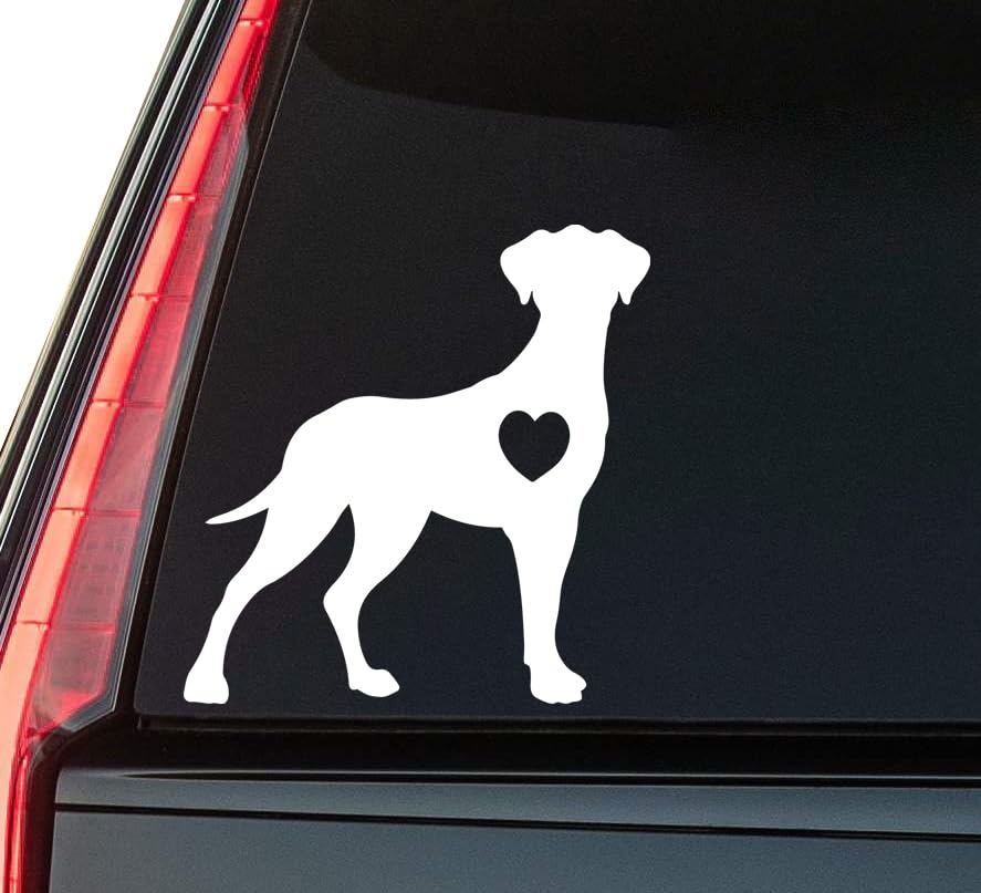 2 (Pieces) 3" and 5" The Global Present Sticker, Waterproof Vinyl Decals for Many Purpose Like Cars,