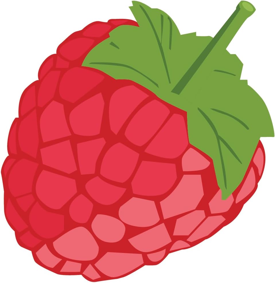 Inspirational Quote Raspberry Fruit Vector Motivational Sticker Vinyl Decal Motivation Stickers- 5" Vinyl Sticker Waterproof
