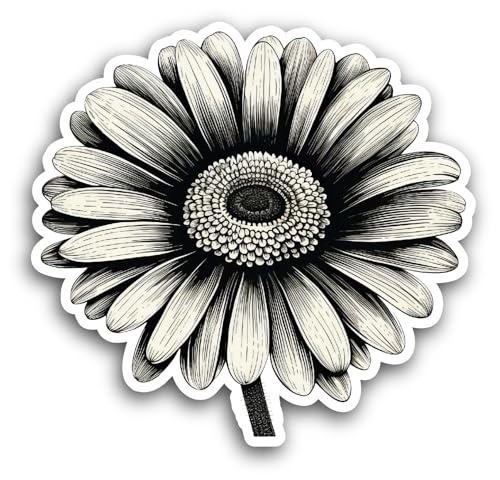 2 (Pieces) 3" and 5" Transvaal Daisy Sticker, Waterproof Vinyl Decals for Many Purpose Like Cars, Tr