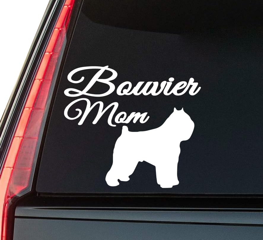 2 (Pieces) 3" and 5" Shining Star Sticker, Waterproof Vinyl Decals for Many Purpose Like Cars, Truck