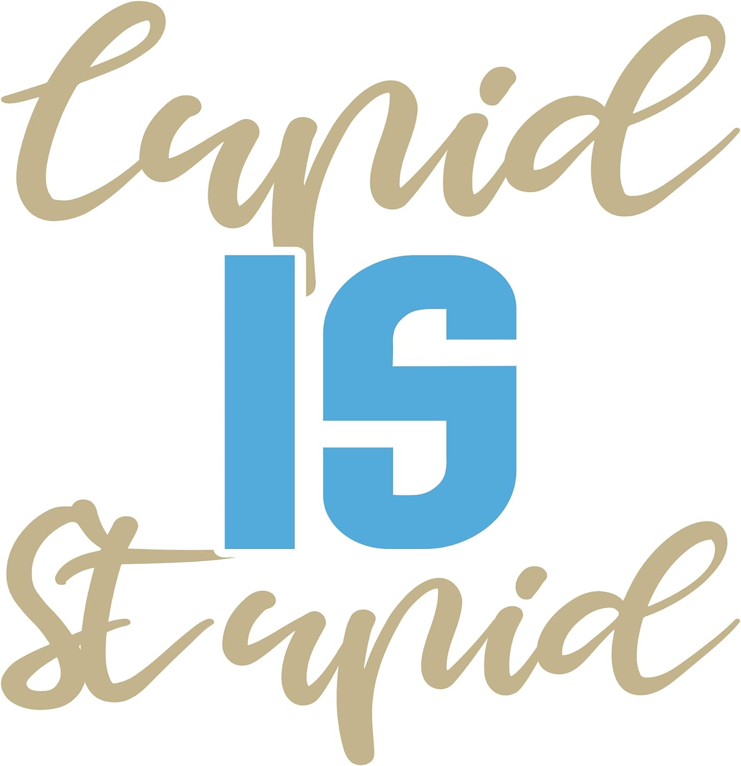 Inspirational Quote Cupid is Stupid Motivational Sticker Vinyl Decal Motivation Stickers- 5" Vinyl Sticker Waterproof