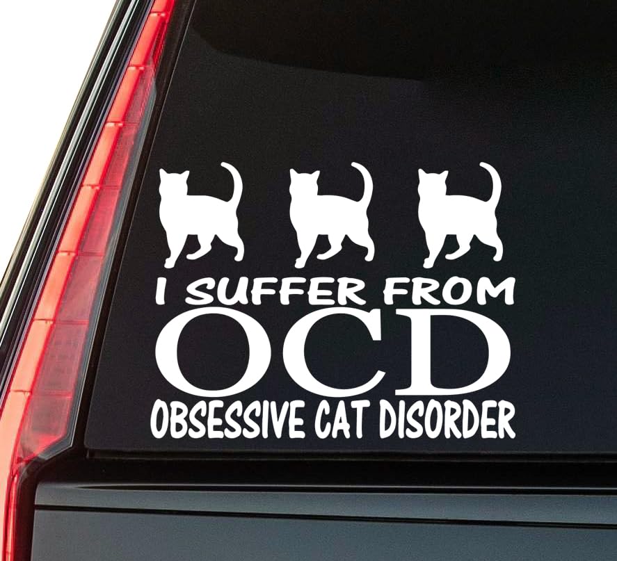 2 (Pieces) 3" and 5" S@fe & Merry Sticker, Waterproof Vinyl Decals for Many Purpose Like Cars, Truck
