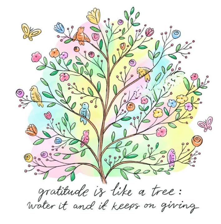 2 (Pieces) 3" and 5" Stickers n Decals Red owl Reading Book - Motivational Sticker Vinyl Decal Stick