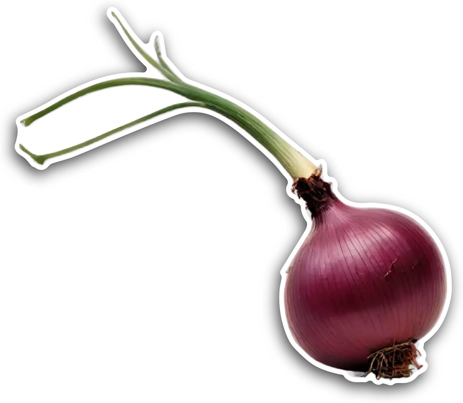 2 (Pieces) 3" and 5" Red Onion Sticker, Waterproof Vinyl Decals for Many Purpose Like Cars, Trucks, Laptops, Phones, Windows and More