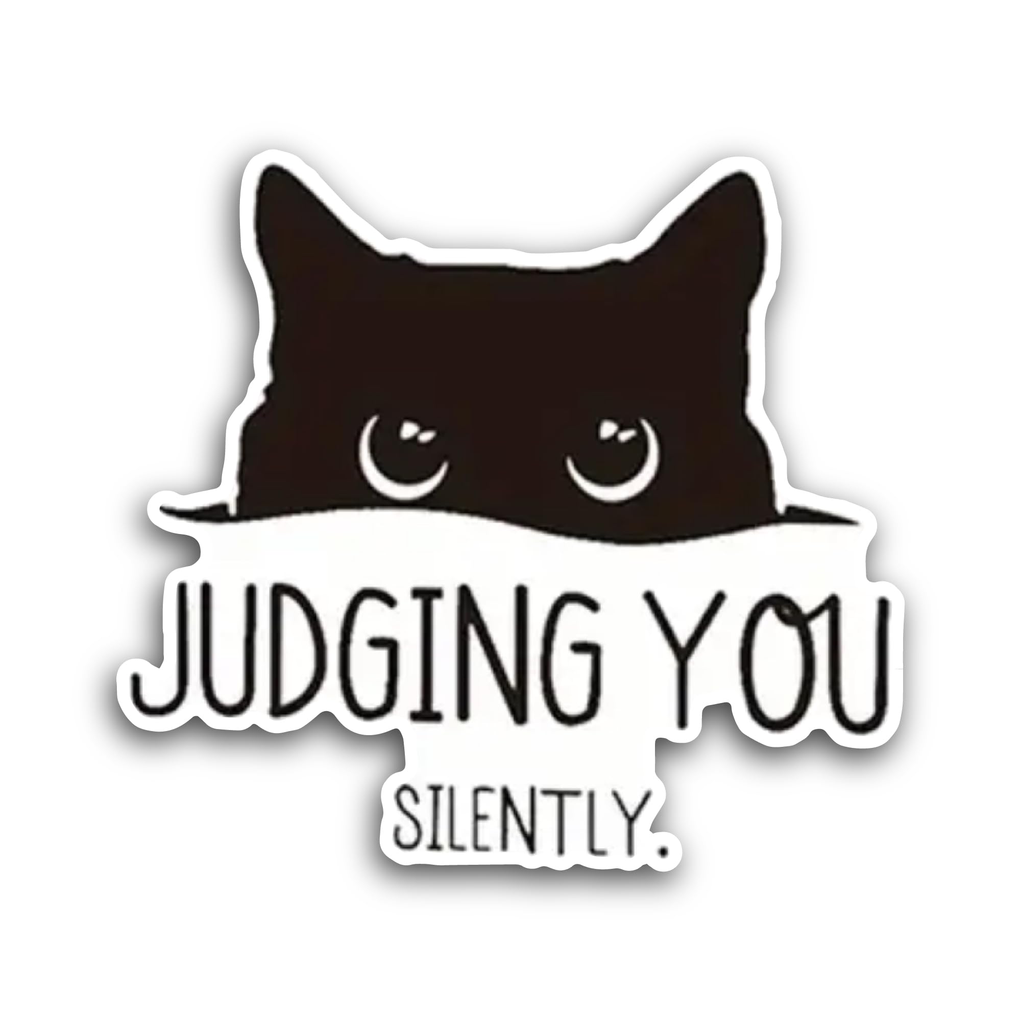 2 (Pieces) 3" and 5" Judging You Silently Text Sticker, Waterproof Vinyl Decals for Many Purpose Lik