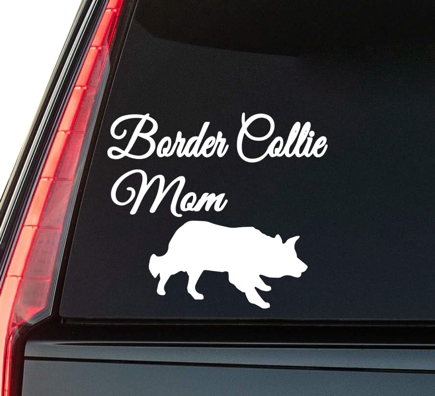 2 (Pieces) 3" and 5" Santa Paws Sticker, Waterproof Vinyl Decals for Many Purpose Like Cars, Trucks,