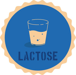 Inspirational Quote Lactose Motivational Sticker Vinyl Decal Motivation Stickers- 5