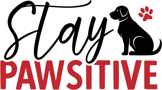 Inspirational Quote "Stay Pawsitive" Motivational Sticker Vinyl Decal Motivation Stickers- 5" Vinyl Sticker Waterproof