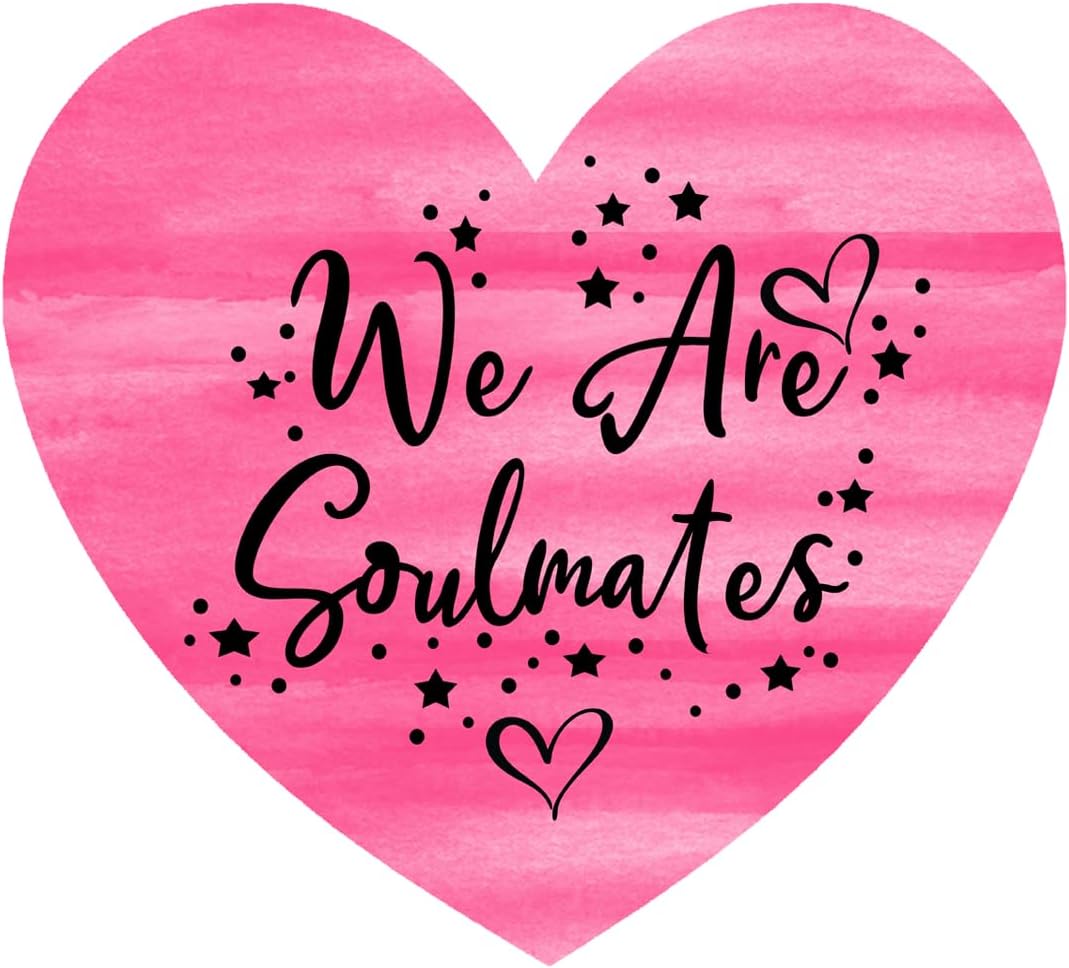 Inspirational Quote We are Soulmates Motivational Sticker Vinyl Decal Motivation Stickers- 5" Vinyl Sticker Waterproof