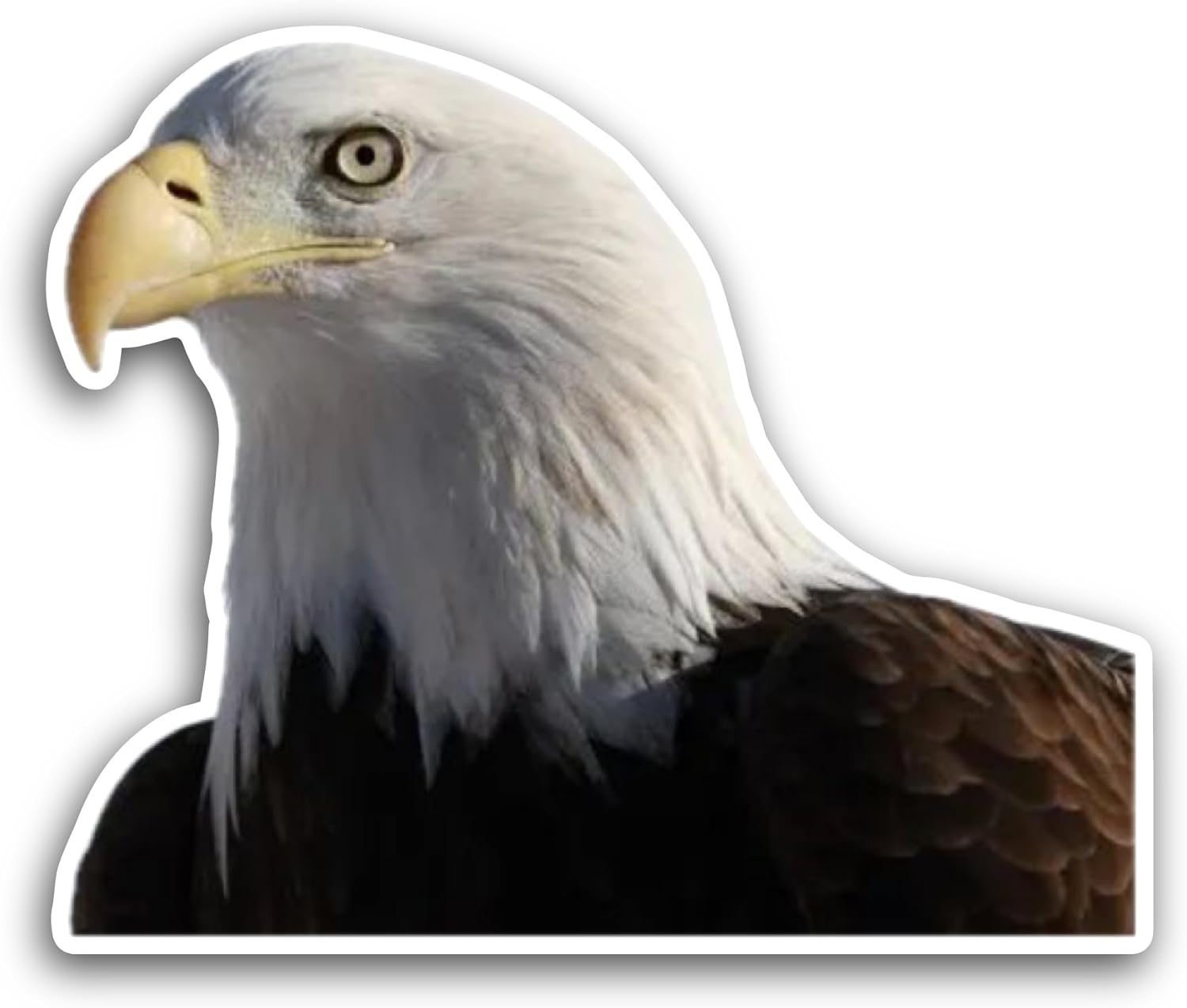 2 (Pieces) 3" and 5" Bald Eagle Sticker, Waterproof Vinyl Decals for Many Purpose Like Cars, Trucks, Laptops, Phones, Windows and More