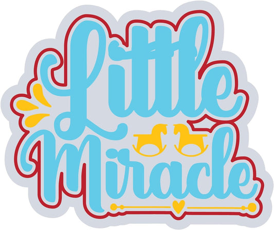 Inspirational Quote Little Miracle Motivational Sticker Vinyl Decal Motivation Stickers- 5" Vinyl Sticker Waterproof