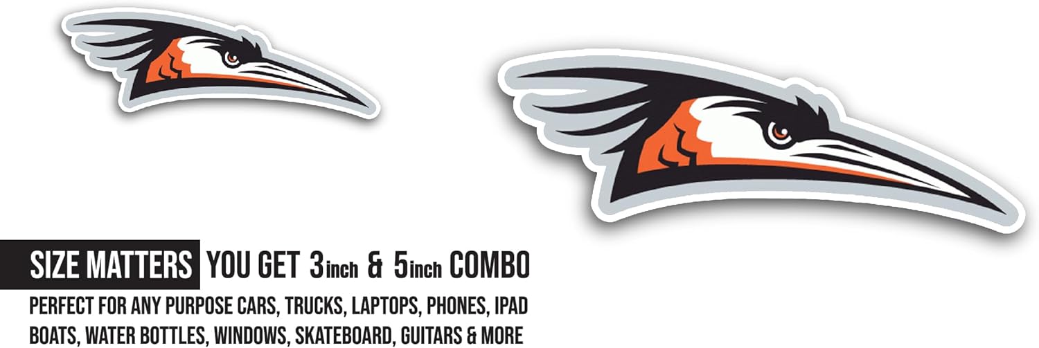 2 (Pieces) 3" and 5" Delmarva Sh0rebirds Sticker, Waterproof Vinyl Decals for Many Purpose Like Cars, Trucks, Laptops, Phones, Windows and More