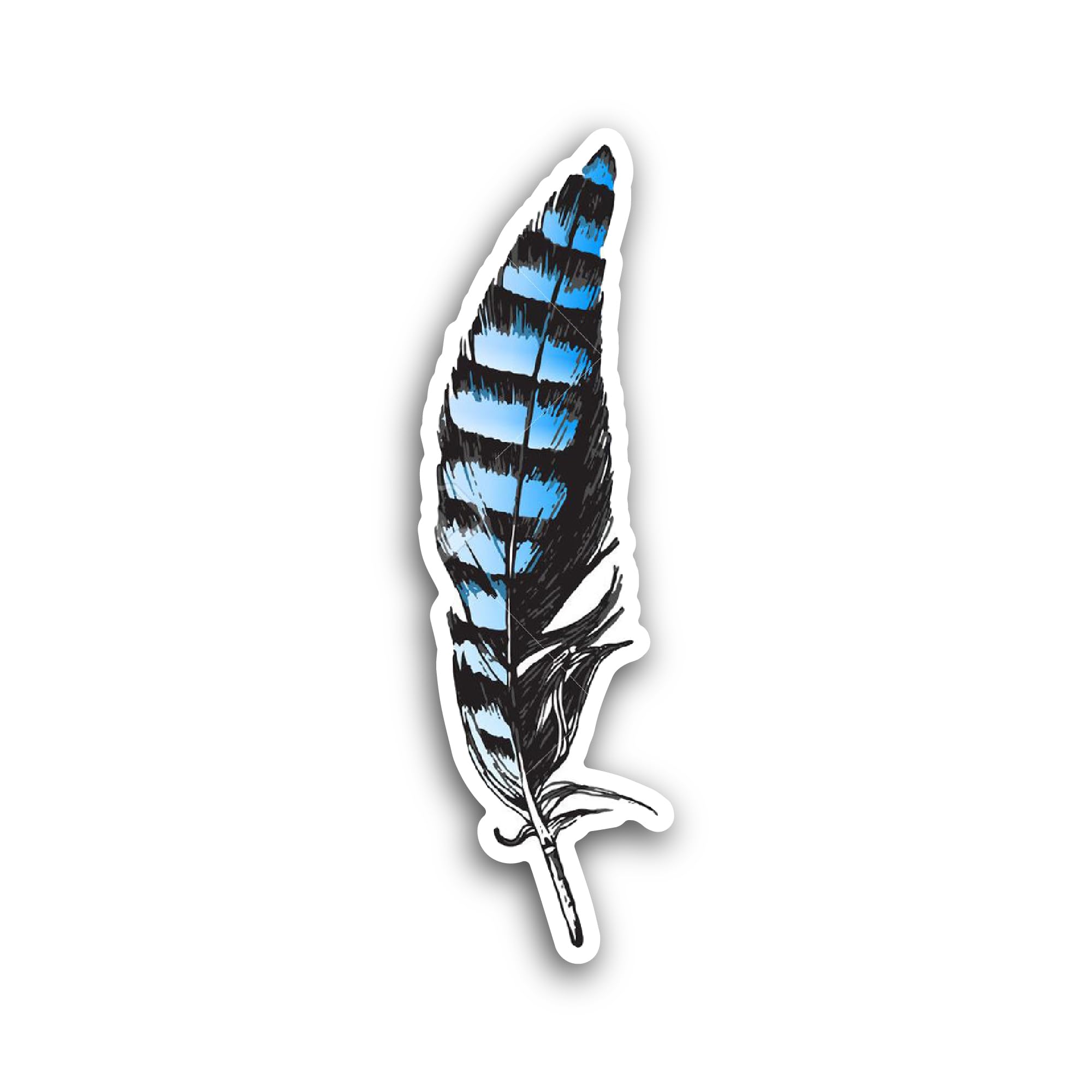 2 (Pieces) 3" and 5" Blue Jay Feather Sticker, Waterproof Vinyl Decals for Many Purpose Like Cars, T