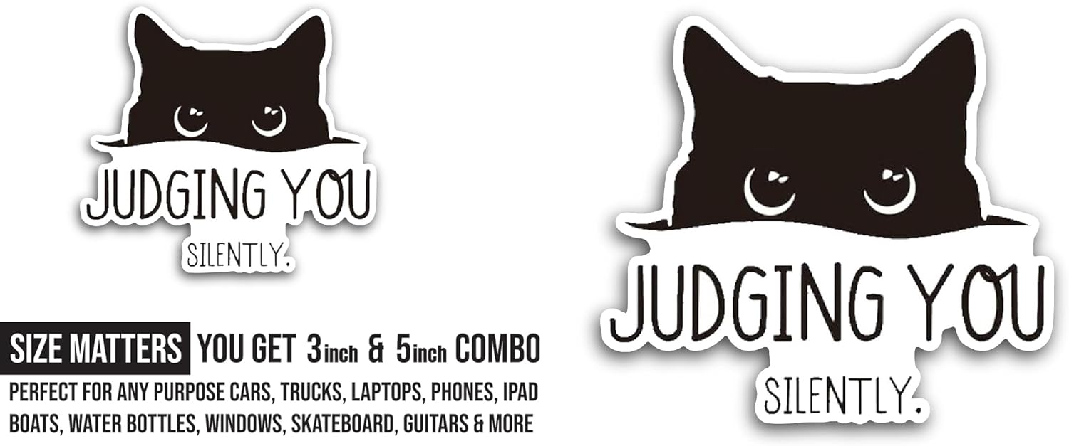 2 (Pieces) 3" and 5" Judging You Sticker, Waterproof Vinyl Decals for Many Purpose Like Cars, Trucks, Laptops, Phones, Windows and More