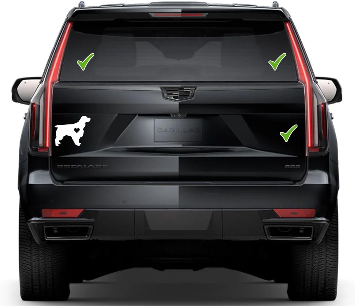 Springer Spaniel Window Vinyl Decal Sticker 6" (White), Waterproof Vinyl Decals for Many Purpose Like Cars, Trucks, Laptops, Phones, Windows and More