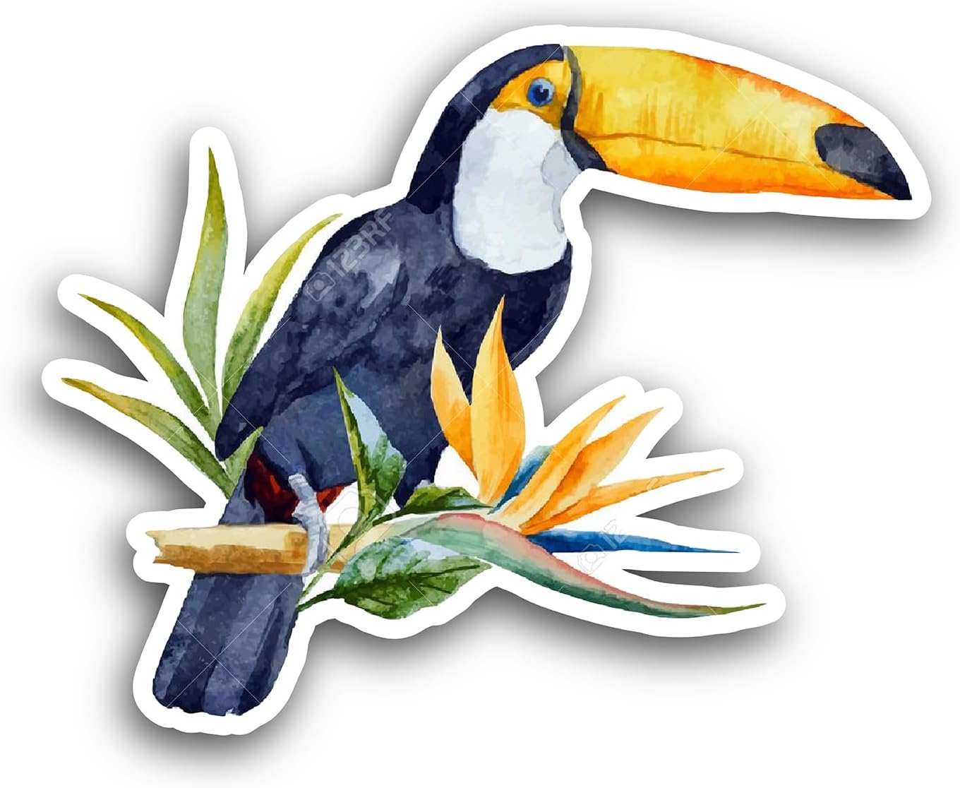 2 (Pieces) 3" and 5" Toucan Sticker, Waterproof Vinyl Decals for Many Purpose Like Cars, Trucks, Laptops, Phones, Windows and More