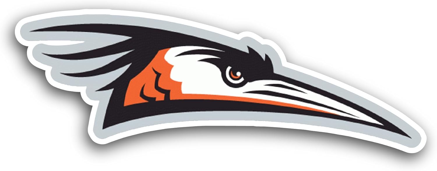 2 (Pieces) 3" and 5" Delmarva Sh0rebirds Sticker, Waterproof Vinyl Decals for Many Purpose Like Cars, Trucks, Laptops, Phones, Windows and More
