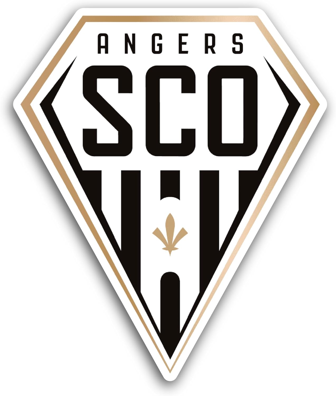 2 (Pieces) 3" and 5" RSC Anderl3cht Sticker, Waterproof Vinyl Decals for Many Purpose Like Cars, Trucks, Laptops, Phones, Windows and More