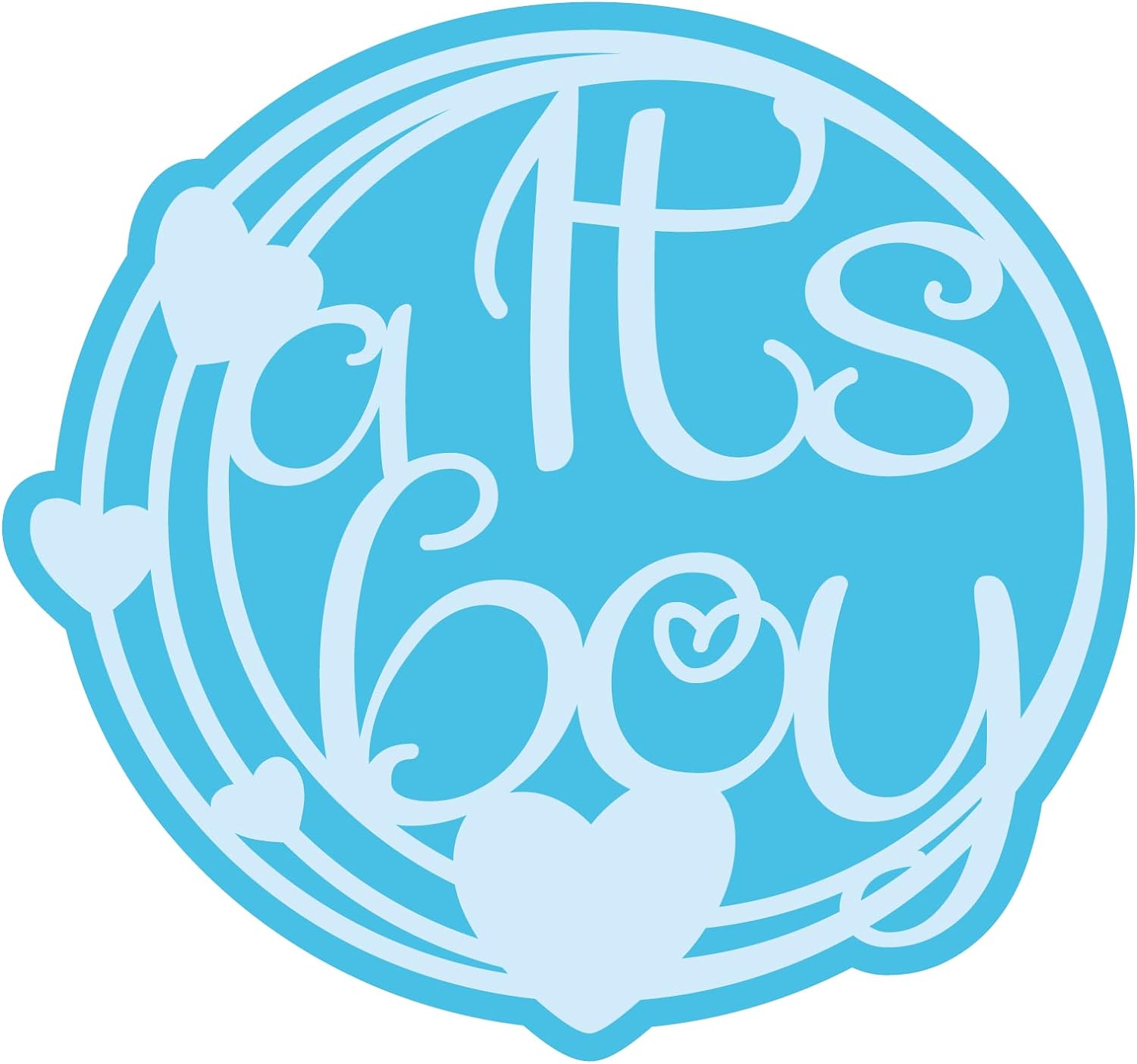 Inspirational Quote It's A Boy Motivational Sticker Vinyl Decal Motivation Stickers- 5" Vinyl Sticker Waterproof