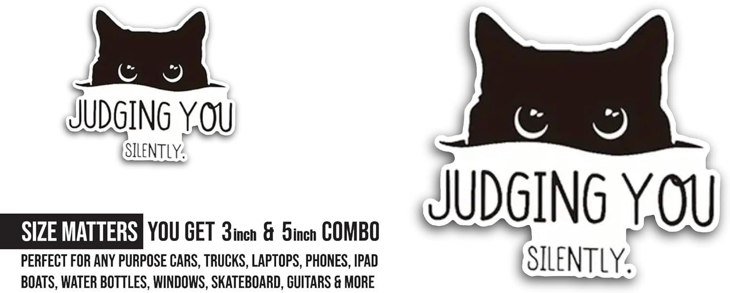 2 (Pieces) 3" and 5" Judging You Silently Text Sticker, Waterproof Vinyl Decals for Many Purpose Like Cars, Trucks, Laptops, Phones, Windows and More