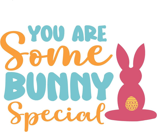 Inspirational Quote "You are Some Bunny Special" Motivational Sticker Vinyl Decal Motivation Stickers- 5" Vinyl Sticker Waterproof