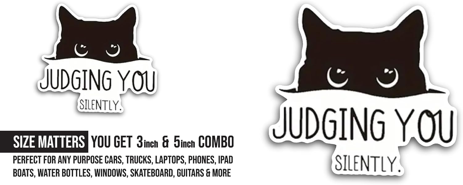 2 (Pieces) 3" and 5" Judging You Silently Sticker, Waterproof Vinyl Decals for Many Purpose Like Cars, Trucks, Laptops, Phones, Windows and More