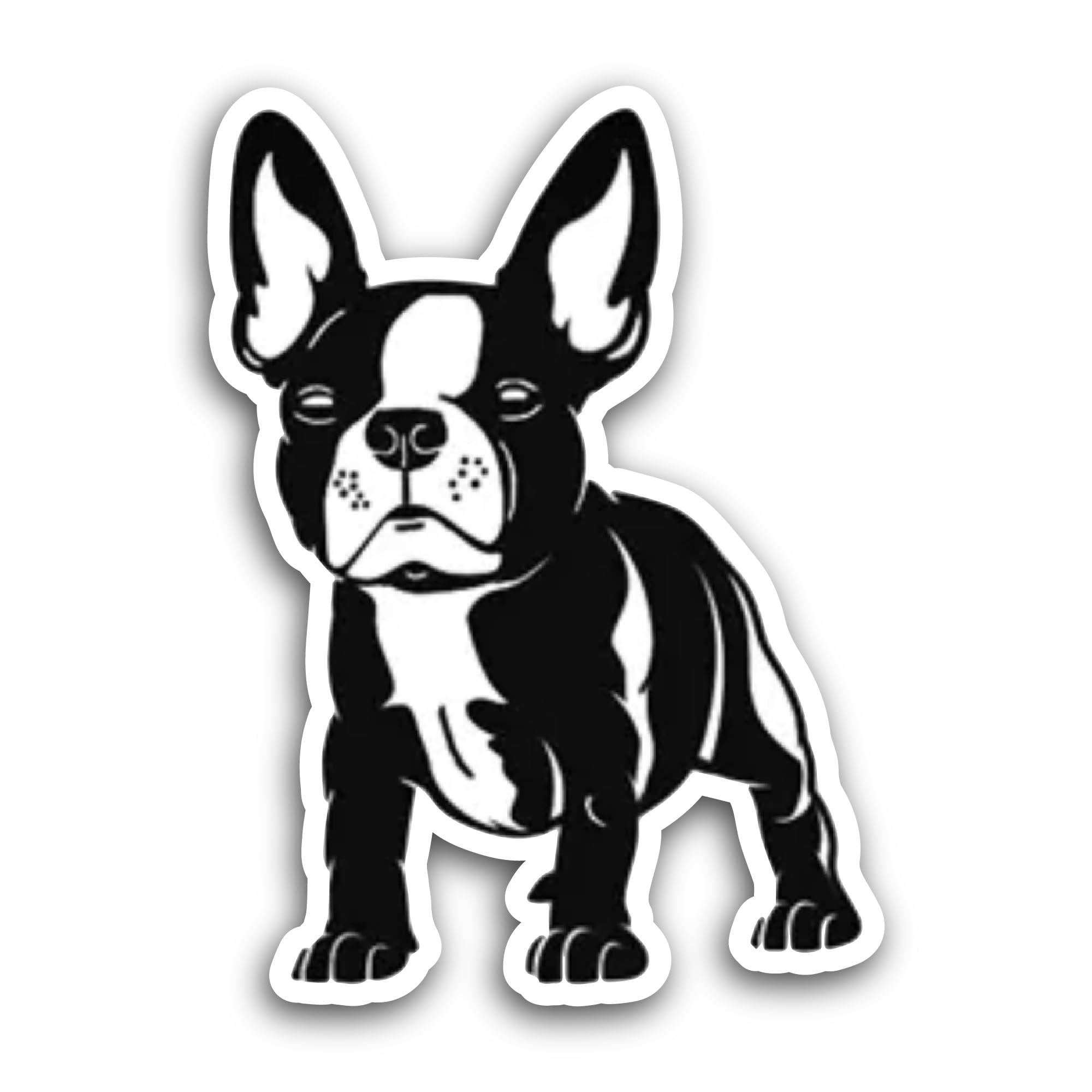 2 (Pieces) 3" and 5" US Air Force Veteran Sticker, Waterproof Vinyl Decals for Many Purpose Like Car