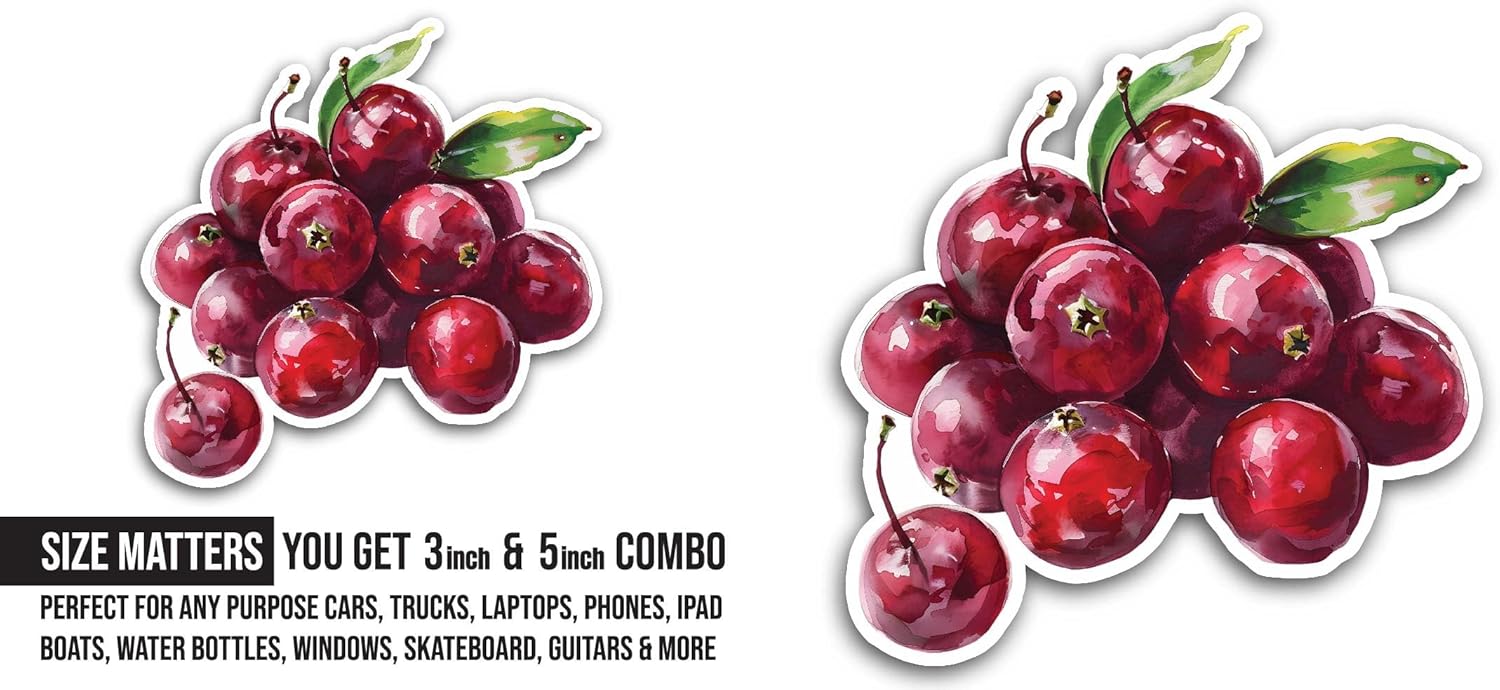2 (Pieces) 3" and 5" Cranberries Sticker, Waterproof Vinyl Decals for Many Purpose Like Cars, Trucks, Laptops, Phones, Windows and More