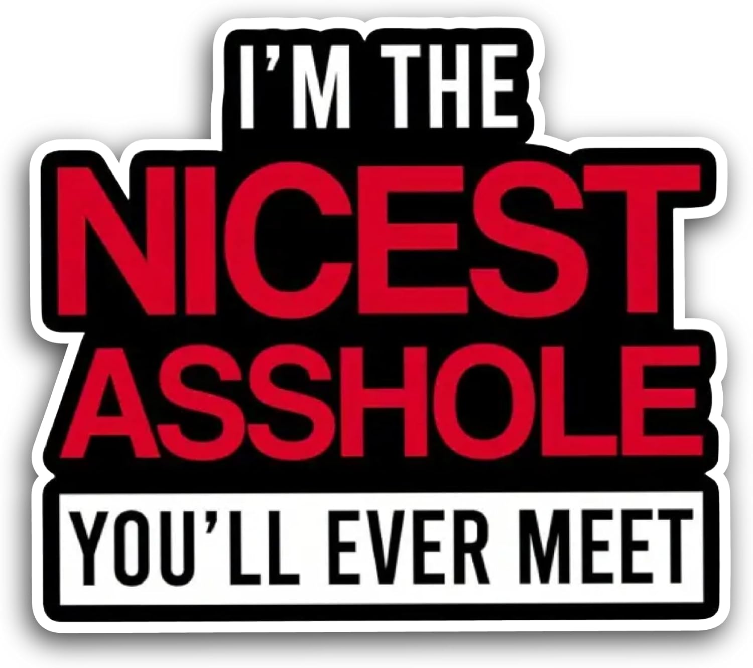 2 (Pieces) 3" and 5" I am The Nicest Sticker, Waterproof Vinyl Decals for Many Purpose Like Cars, Trucks, Laptops, Phones, Windows and More