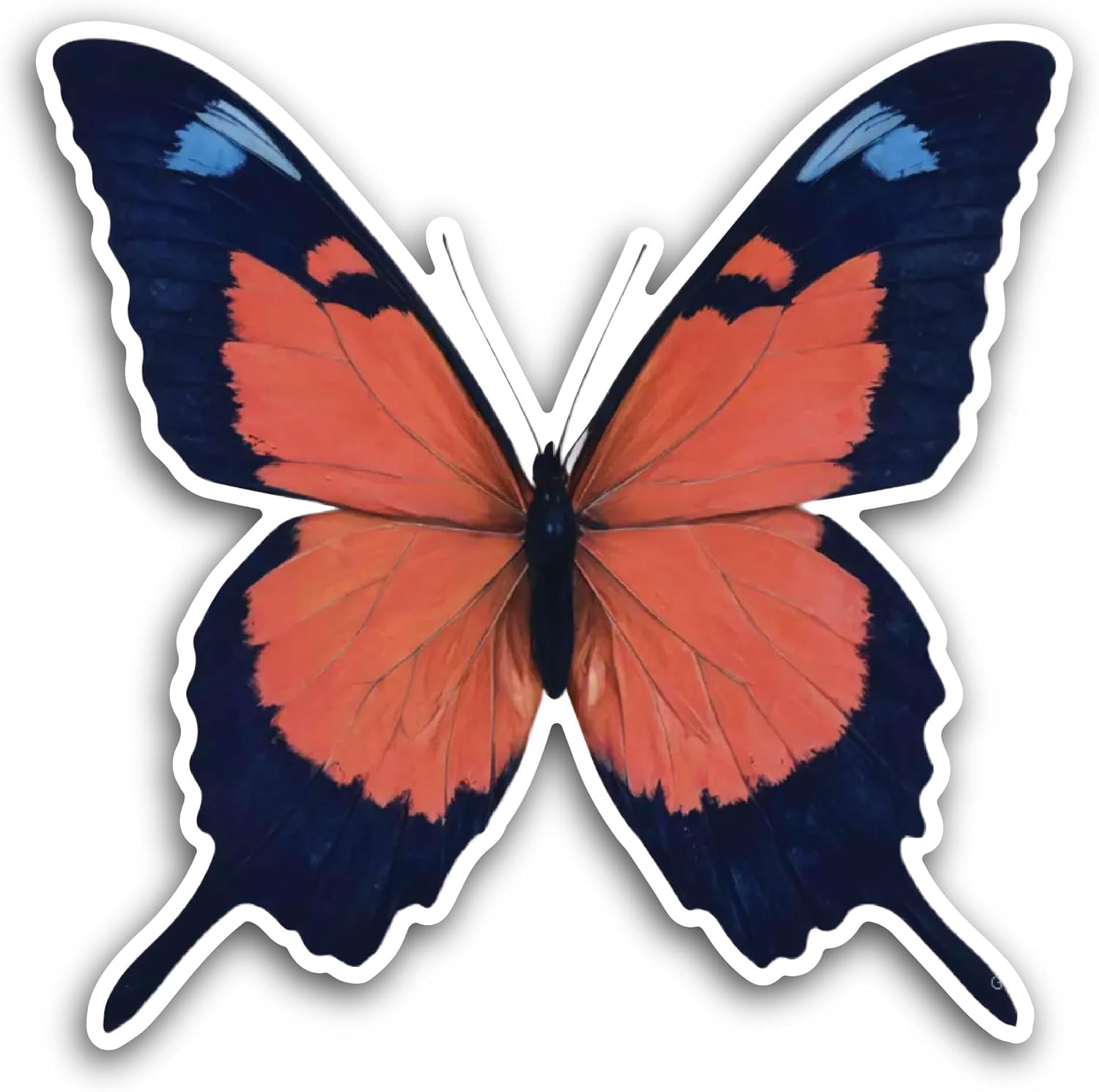 2 (Pieces) 3" and 5" Red and Black Butterfly Sticker, Waterproof Vinyl Decals for Many Purpose Like Cars, Trucks, Laptops, Phones, Windows and More