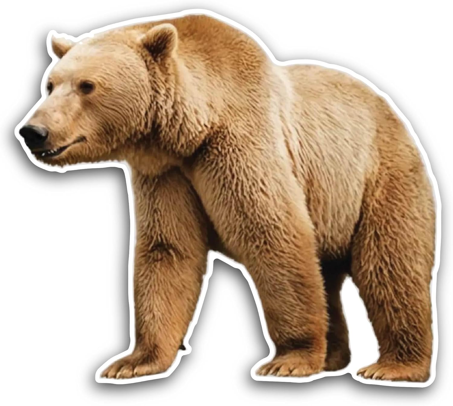 2 (Pieces) 3" and 5" Bear Sticker, Waterproof Vinyl Decals for Many Purpose Like Cars, Trucks, Laptops, Phones, Windows and More