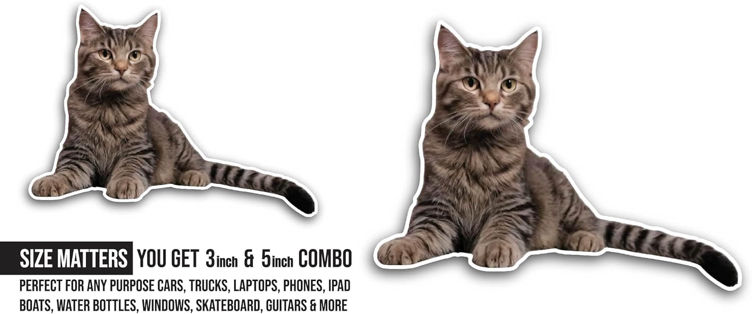 2 (Pieces) 3" and 5" Domestic Cute Cat Sticker, Waterproof Vinyl Decals for Many Purpose Like Cars, Trucks, Laptops, Phones, Windows and More