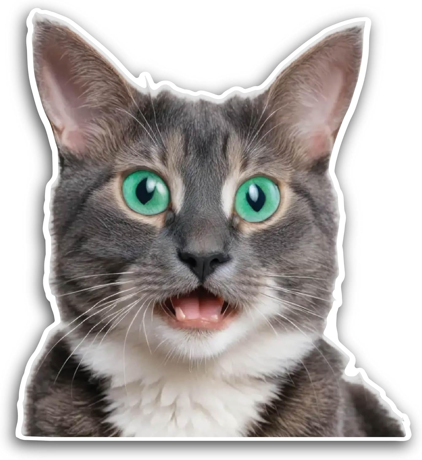 2 (Pieces) 3" and 5" Funny Cat Sticker, Waterproof Vinyl Decals for Many Purpose Like Cars, Trucks, Laptops, Phones, Windows and More