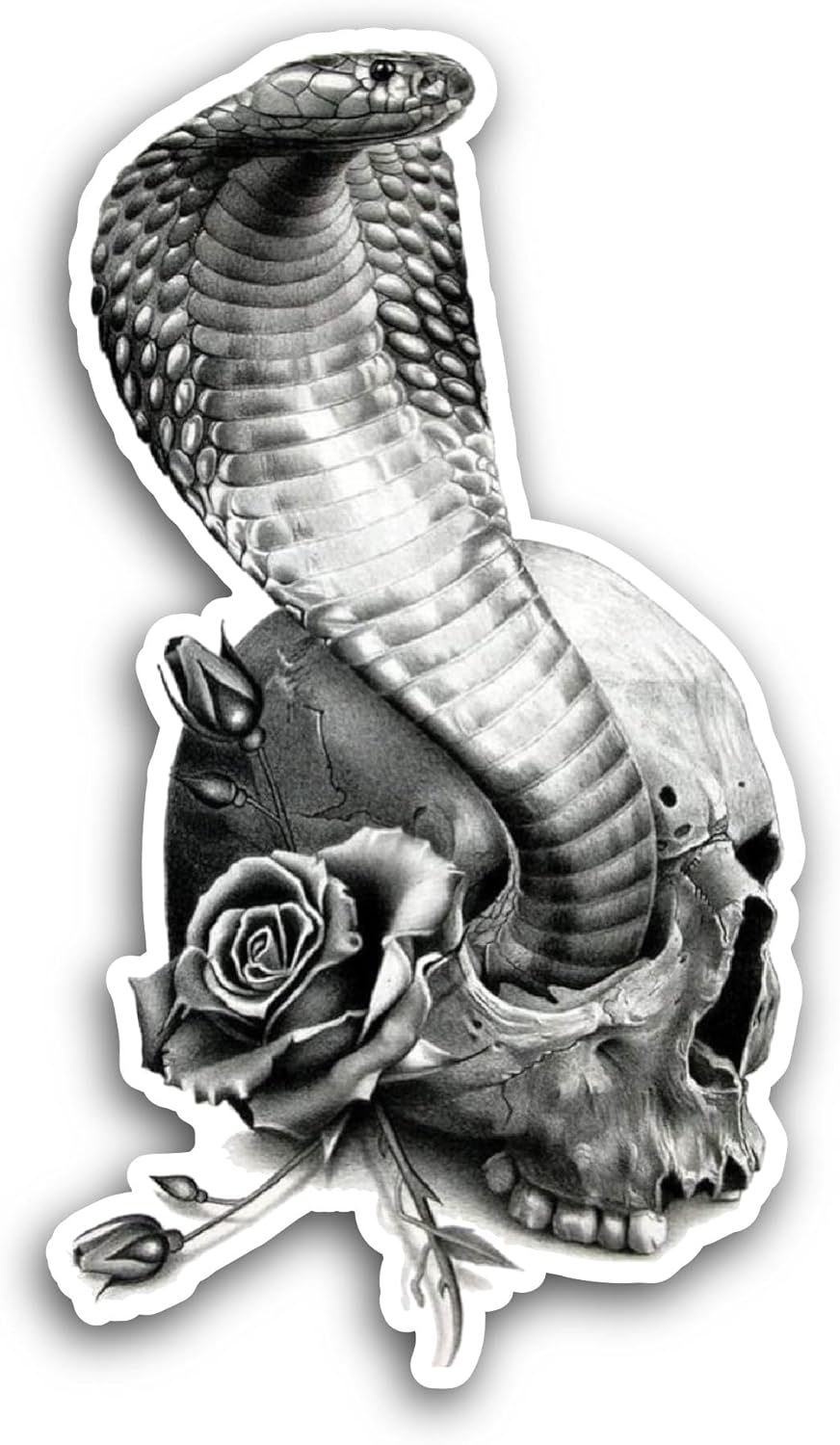 2 (Pieces) 3" and 5" Snake Sticker, Waterproof Vinyl Decals for Many Purpose Like Cars, Trucks, Laptops, Phones, Windows and More