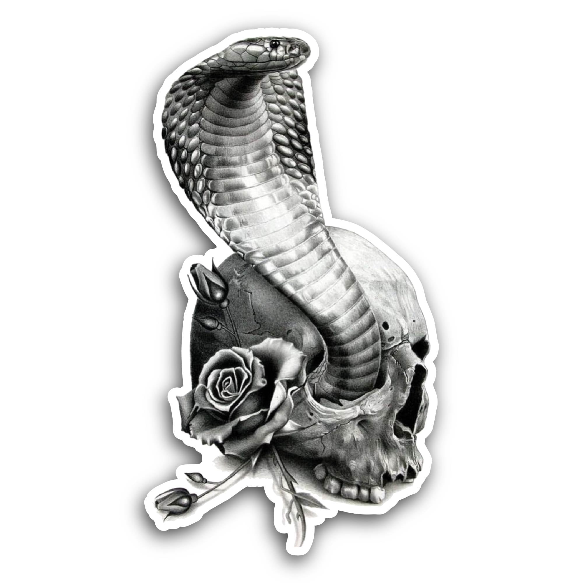 2 (Pieces) 2" and 3" Black Scorpion Insect Illustration Sticker, Waterproof Vinyl Decals for Many Pu