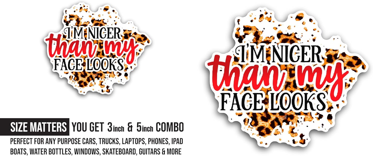 2 (Pieces) 3" and 5" I' Am Nicer Sticker, Waterproof Vinyl Decals for Many Purpose Like Cars, Trucks, Laptops, Phones, Windows and More