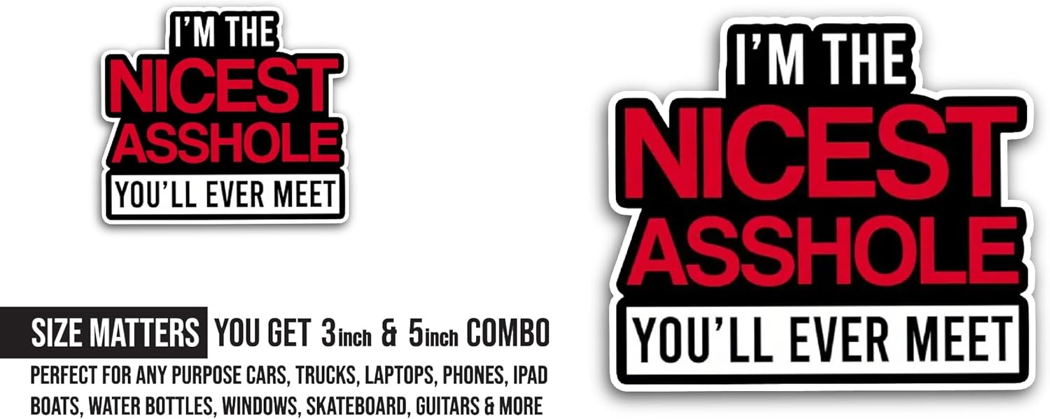 2 (Pieces) 3" and 5" I am The Nicest Sticker, Waterproof Vinyl Decals for Many Purpose Like Cars, Trucks, Laptops, Phones, Windows and More