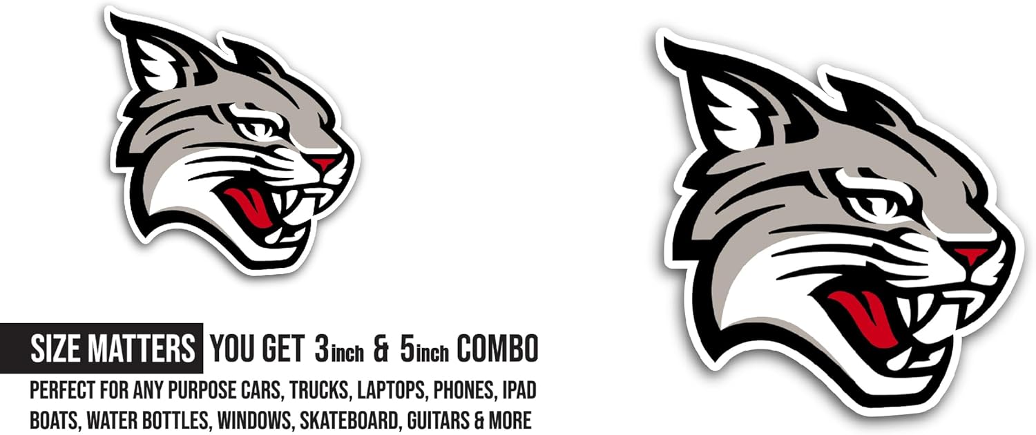 2 (Pieces) 3" and 5" Davids0n Wildcats Sticker, Waterproof Vinyl Decals for Many Purpose Like Cars, Trucks, Laptops, Phones, Windows and More